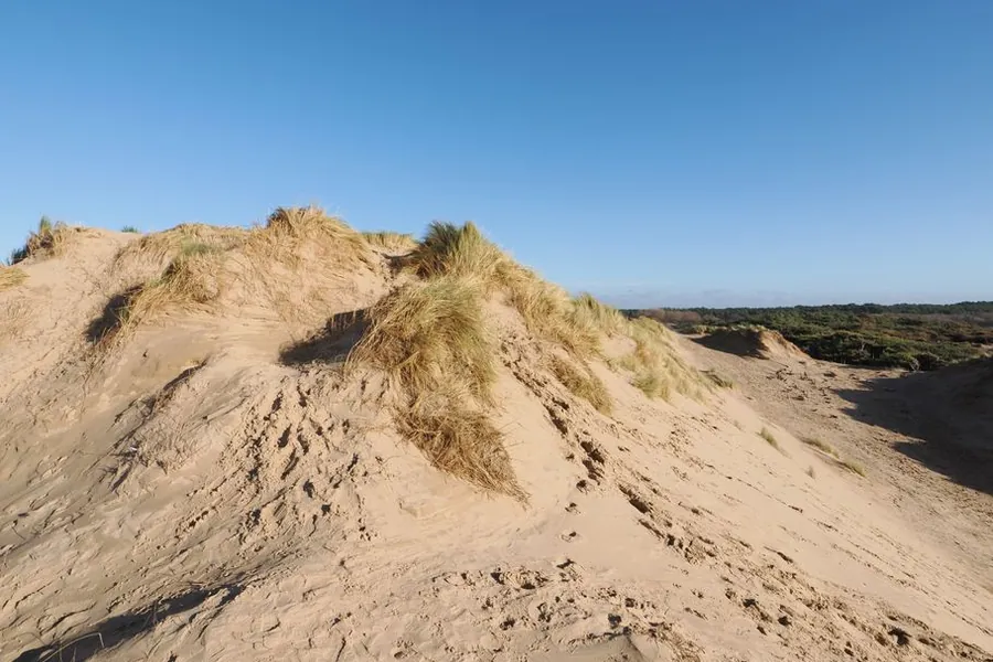 Wind-blown sand dunes with marram grass on the Sefton coast near Southport