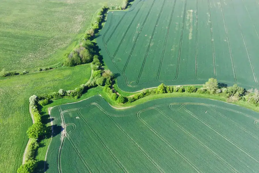 Flat drained farmland divided by hedgerows seen from above, the reclaimed peat mossland that surrounds Ormskirk and Burscough