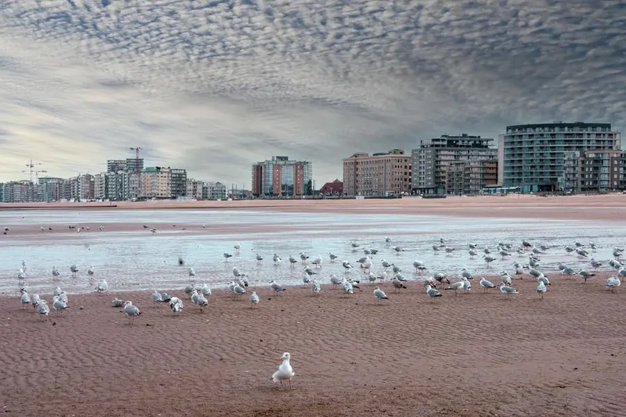 Gulls gathered on a wide flat sandy shore in front of a seafront town, as along the Sefton coast at Southport