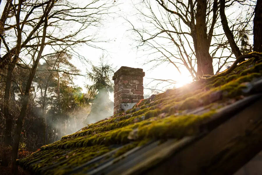 Thick moss across the shaded slope of an old roof beside a brick chimney, the north-facing growth that holds water against slates on Ormskirk's Victorian houses