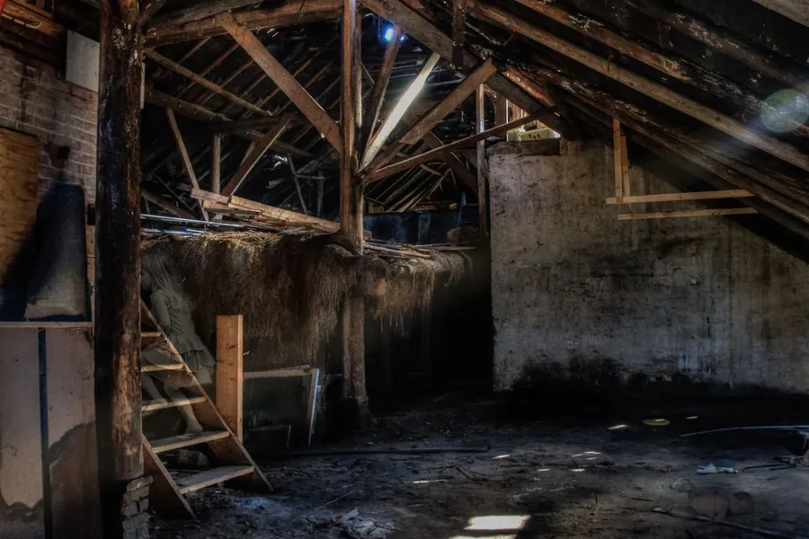 Sunlit old attic with exposed roof timbers and no underlay behind the covering
