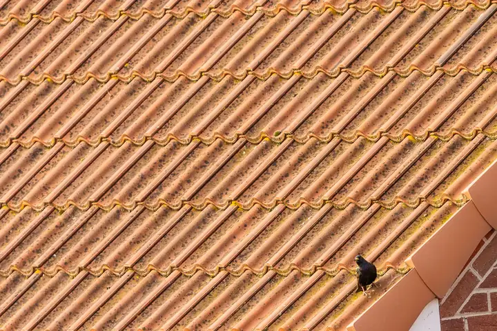 Red interlocking concrete tiles on a suburban roof, the covering on most of Southport's postwar housing