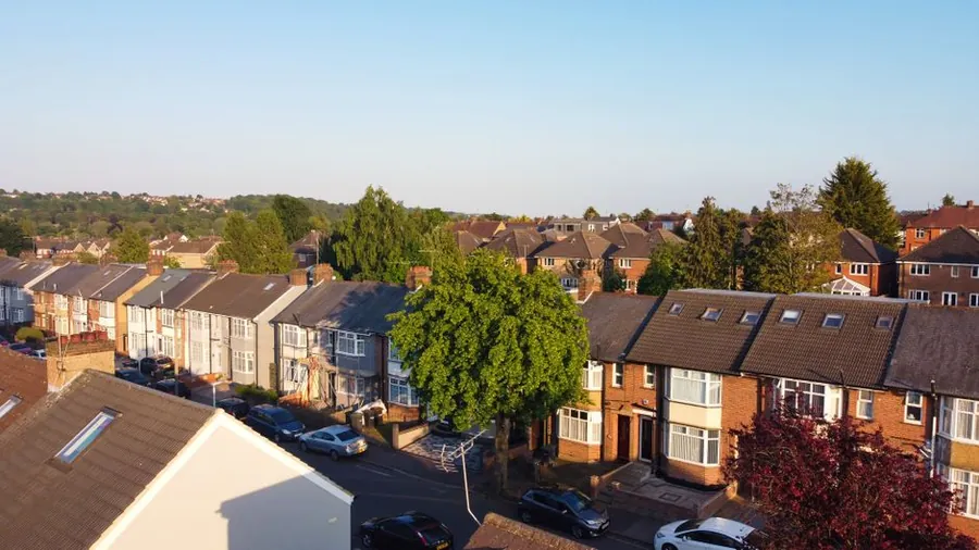 Rows of terraced house rooftops with shared ridges and chimney stacks, the layout gulls exploit across Southport streets