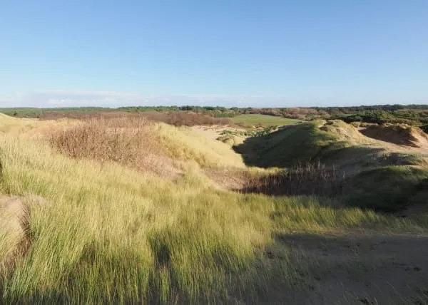 Rolling dune slacks and marram grass at a coastal national nature reserve like Ainsdale's