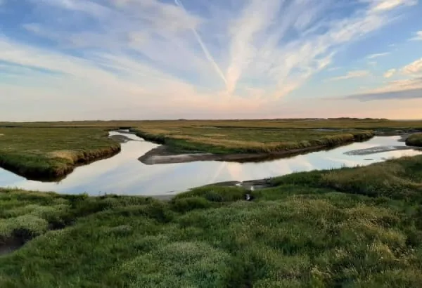 Saltmarsh creeks winding towards the horizon under a wide sky on the Ribble estuary at Banks Marsh