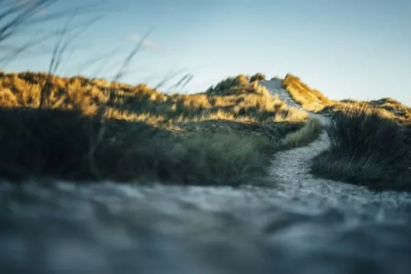 A sandy footpath winding through dune grass on the Sefton Coastal Path