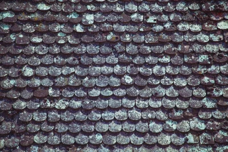 Weathered concrete roof tiles with moss growth, the standard condition of Ainsdale's interwar bungalow roofs