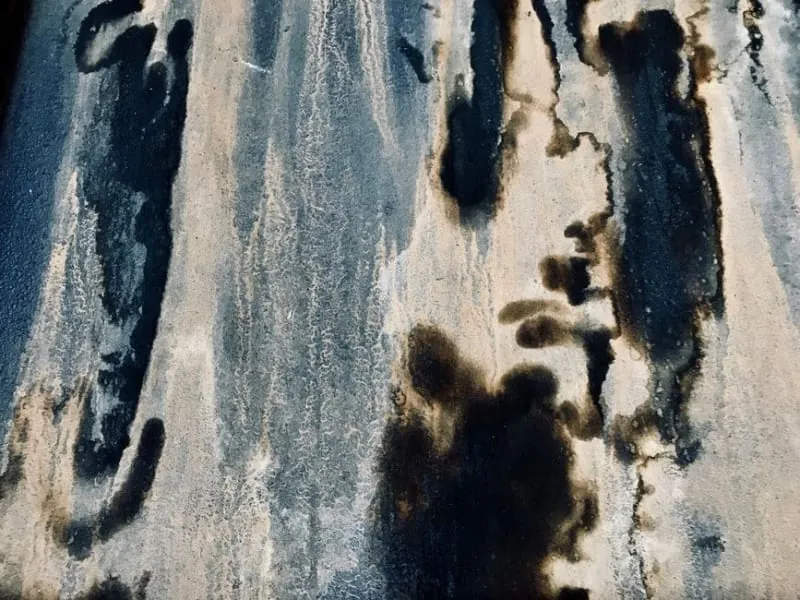 Damp staining spreading across an interior wall surface, the visible sign of a long-running roof leak