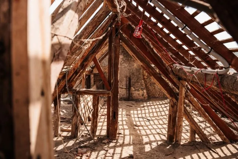 Roof timbers seen from inside a loft, where wind-driven damp first shows on Ainsdale bungalows